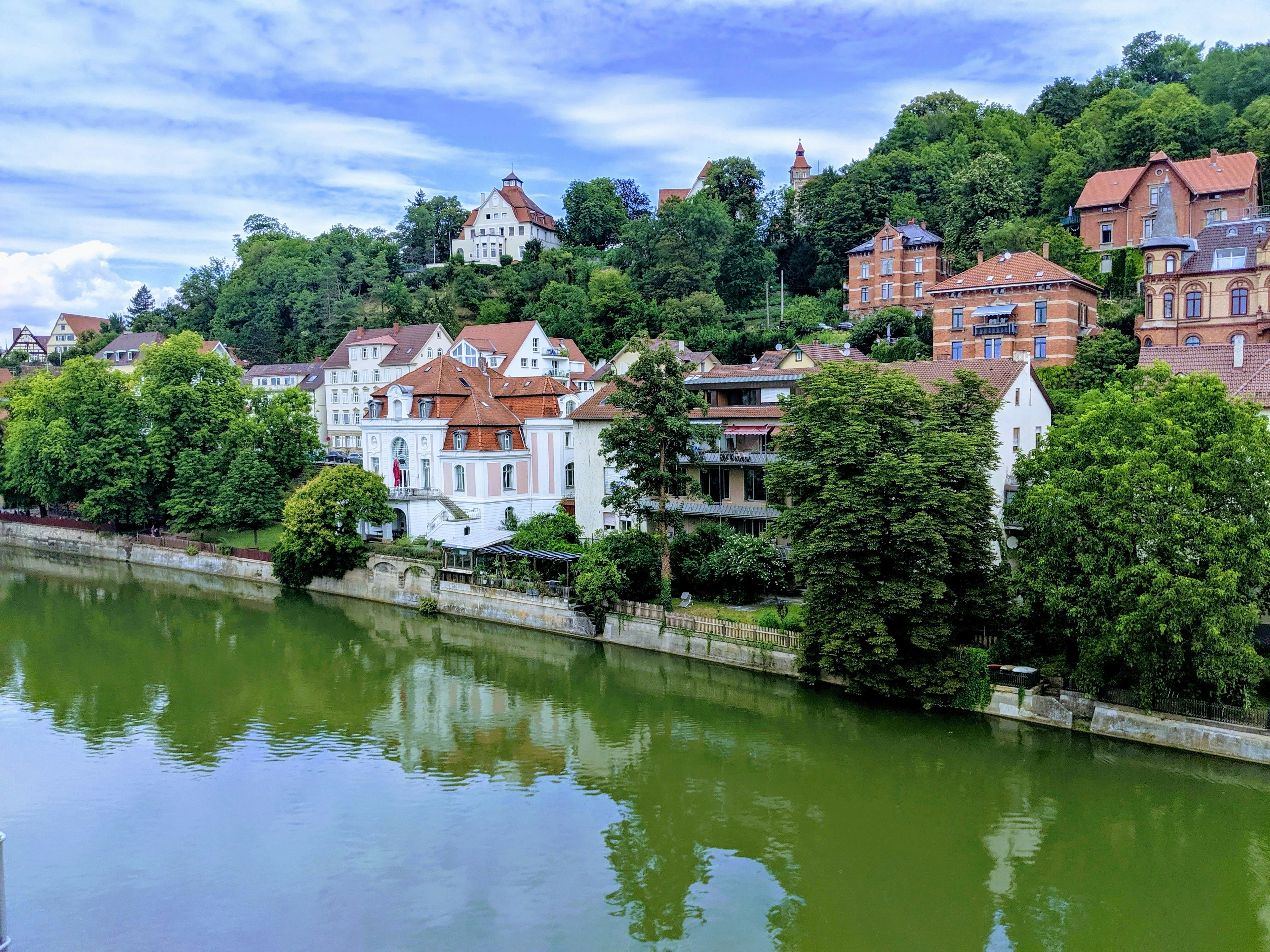 houses near stagnant water